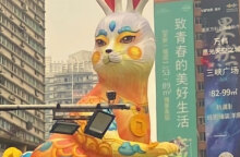 rabbit-china