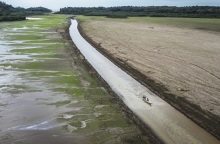 Έρευνα: Η ανθρώπινη δραστηριότητα και η ξηρασία «υποβαθμίζουν περισσότερο από το ένα τρίτο του τροπικού δάσους του Αμαζονίου».