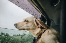 Ο καιρός σήμερα, Σάββατο 28 Ιανουαρίου: Παροδικές βροχές σε αρκετές περιοχές και σποραδικές καταιγίδες - Η πρόγνωση του Εθνικού Αστεροσκοπείου.