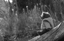 Αρκουδάκι σε κορμό δέντρου - Εικόνα που παραπέμπει σε κακοποίηση παιδιού