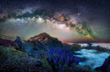 Garden Photographer of the Year 2023: Οι νικητές του διεθνούς διαγωνισμός φωτογραφίας κήπου, που διεξάγεται από το Royal Botanic Gardens του Λονδίνου.