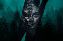 Viking Wolf - Netflix