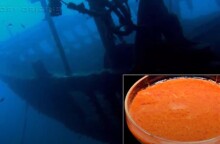 Καλοδιατηρημένα μπαχαρικά εντοπίστηκαν σε ναυάγιο στη Σουηδία