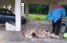 Ωρωπός: «Δεν υπάρχει καμία δικαιολογία, το πόρισμα της ΕΔΕ θα πάει στον εισαγγελέα», λέει ο δήμαρχος