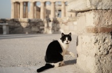 Ο καιρός σήμερα, Κυριακή 19 Μαρτίου: Βελτίωση, με ηλιοφάνεια και άνοδο θερμοκρασίας - Η πρόγνωση του Meteo και της Εθνικής Μετεωρολογικής Υπηρεσίας.