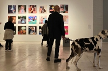 Παγκόσμια Ημέρα Αδέσποτων ζώων στο ΕΜΣΤ