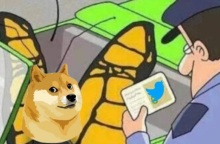 Ο Έλον Μασκ συνεχίζει τις αλλαγές στο Twitter - Αντικατέστησε το χαρακτηριστικό πουλί του λογοτύπου με το σύμβολο του κρυπτονομίσματος Dogecoin.