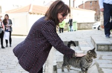 Κατερίνα Σακελλαροπούλου: Η ΠτΔ αναφέρθηκε στην Παγκόσμια Ημέρα Αδέσποτων Zώων - Ανάγκη να τους δείχνουμε καθημερινά το ενδιαφέρον και τον σεβασμό μας.