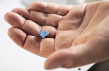 Βέλγιο: Πασχαλινά κουνελάκια που θα μετατρέπονταν σε χάπια έκστασι εντοπίστηκαν στο αεροδρόμιο των Βρυξελλών - Σχεδόν έξι τόνοι ναρκωτικών κατασχέθηκαν το 2022.