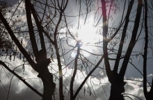 Συννεφιά και λιγοστές ακτίνες του ήλιου πίσω από κλαδιά δέντρου θυμίζουν φθινοπωρινό σκηνικό καιρού