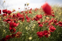 Πρόγνωση καιρού - Μεγάλη Παρασκευή: Νεφώσεις, τοπικές βροχές και καταιγίδες σε αρκετές περιοχές της χώρας - Ο καιρός τις μέρες του Πάσχα από το meteo και την ΕΜΥ