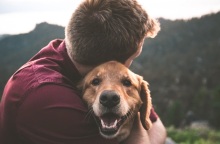 Ιστοσελίδα με υπηρεσίες και λύσεις για τους κηδεμόνες κατοικιδίων κατασκεύασαν μαθητές του ΓΕΛ Διαπολιτισμικής Εκπαίδευσης Ανατολικής Θεσσαλονίκης.