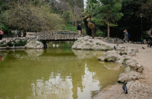 Εθνικός Κήπος