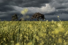 Καιρός - Συννεφιά