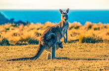 ondrej-machart-qnfvtob4hhe-unsplash