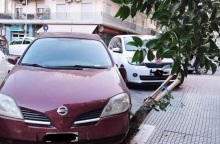 Μηνυτήρια αναφορά κατέθεσε ο δήμος Θεσσαλονίκης σε βάρος ασυνείδητου οδηγού που πάρκαρε το αυτοκίνητο του σε δενδροδόχο, προκαλώντας σοβαρές φθορές.