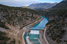 Δαφνοζώναρα