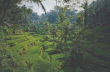 Μια ιστορία για τη βιώσιμη επιχειρηματικότητα