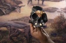 Νότια Αφρική: Ο παλαιοντολόγος Λι Μπέργκερ υποστηρίζει ότι ανακάλυψε ταφές παλαιότερες κατά τουλάχιστον 100.000 έτη από εκείνες του Homo sapiens.