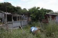 Καβάλα - Ποιμνιοστάσιο της 68χρονης