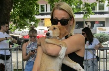 Κομοτηνή: Αδέσποτα κουταβάκια που ζητούν μια ζεστή αγκαλιά συγκεντρώθηκαν στην κεντρική πλατεία - Το θέμα των στειρώσεων και ο «φαύλος κύκλος» της εγκατάλειψης.