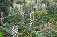 Από το Πεδίον του Άρεως στη Φωκίωνος Νέγρη: Η προσωπική διαδρομή του Κωνσταντίνου Ματσούκα 