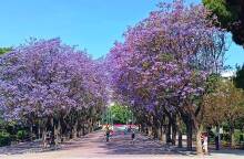 Από τα Αναφιώτικα στη Ρωμαϊκή Αγορά: Η προσωπική διαδρομή της Έλενας Ντάκουλα