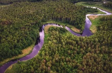 Κλιματική αλλαγή: Ο πλανήτης έχανε το 2022 μια επιφάνεια τροπικού δάσους ίση με ένα γήπεδο ποδοσφαίρου κάθε 5 δευτερόλεπτα - Οι πλέον πληγείσες χώρες.