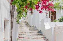 Σκαλάκια ελληνικού νησιού και ροζ μπουκαμβίλια