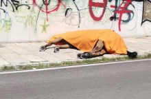 Κέρκυρα: Συνελήφθη ο ιδιοκτήτης του αλόγου - Πρόστιμο 30.000