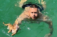 Διάσωση για γατάκι από πλήρωμα ferry boat στη Σαλαμίνα