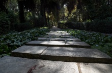 Σκαλοπάτια πάρκου