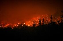 Φωτιά στο Αίγιο