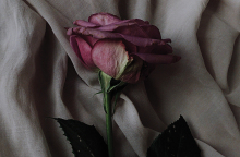 Ημερολόγιο πένθους: Ο θάνατος της μαμάς