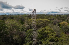 Δάσος του Αμαζονίου
