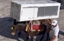 Ύδρα: Νέες δηλώσεις του δημάρχου του νησιού μετά τις εικόνες με τη μεταφορά ηλεκτρικής συσκευής από ζώο - Υποστηρίζει ότι είναι ο μοναδικός τρόπος μετακίνησης.