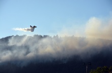 Φωτιά τώρα στη Φθιώτιδα