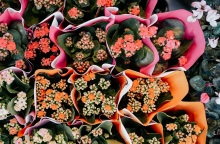 Εορτολόγιο: Σήμερα 1 Δεκεμβρίου 2023 γιορτάζει...