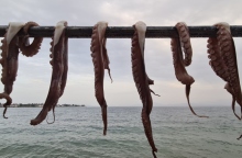 Οι αγαπημένες μου ταβέρνες στο Νότιο Πήλιο.