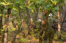 Φωτιά στον Έβρο: Εντοπίστηκαν 18 απανθρακωμένοι μετανάστες - Ήταν μέλη καραβανιού που είχε φτάσει στη χώρα μας