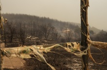 Φωτιά στον Έβρο: Ανασύρθηκαν οι σωροί επιπλέον οκτώ ατόμων στην περιοχή του Άβαντα - Στους 26 ανέρχονται πλέον οι νεκροί - Πού στρέφονται οι έρευνες.