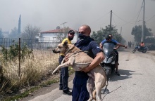 Άνδρας κρατά σκυλάκι μετά τη διάσωση από την Αγία Παρασκευή Μενιδίου