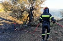 Πυροσβέστες με τη μάνικα ανά χείρας επιχειρούν σε φωτιά στην Κάρυστο