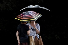 Γυναίκες κρατούν ομπρέλα για να προστατευτούν από τη βροχή και μιλάνε