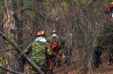 Άτομα που επιχειρούν για την κατάσβεση φωτιάς με τις μάνικες ανά χείρας
