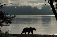 Κατμάι: Το παρθένο βασίλειο της «παχιάς αρκούδας»  