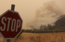 Φωτιά στον Έβρο: Προειδοποιητικό μήνυμα του 112 στους κατοίκους της Λευκίμμης: «Παραμείνετε σε ετοιμότητα» - Συνεχίζεται η μάχη των δυνάμεων της Πυροσβεστικής. 