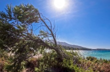 Καιρός: Αίθριος αύριο Κυριακή, με τοπικές νεφώσεις και πιθανότητα βροχών στα βόρεια - Αναλυτική πρόγνωση για όλη την Ελλάδα από την ΕΜΥ και το Meteo.