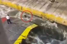 Ο Αντώνης Καρυώτης έχασε τη ζωή του γιατί τον έσπρωξαν στη θάλασσα