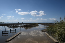 Ο πλημμυρισμένος θεσσαλικός κάμπος